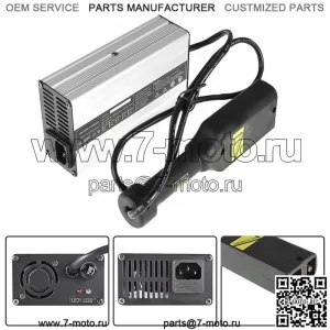 Зарядное устройство Powerwise 36 В для гольф-мобиля в стиле "D" для медалиста TXT EZGO