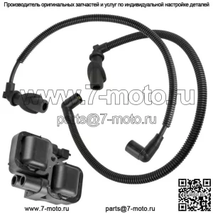 Катушка зажигания со свечой зажигания для Polaris Sportsman Forest 800 6x6 2012-2015 (Для: Polaris)