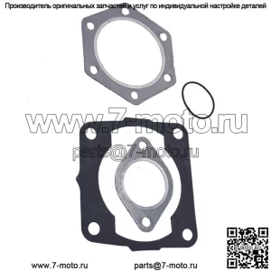 Комплект прокладок двигателя для Polaris TRAIL BLAZER 250 1990-2001 # 1032020111