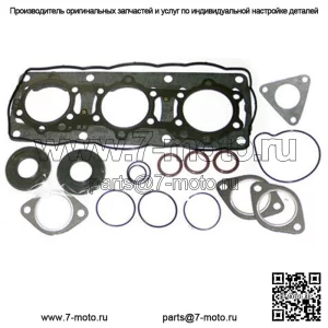 Полный комплект прокладок с сальниками для Polaris RMK 144/155 LC/2 600 CC 2010-2015 (для: Polaris Pro RMK 600)
