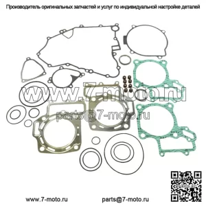 Полный комплект прокладок для Kawasaki KFX700, Prairie 700 и Suzuki Twin Peaks
