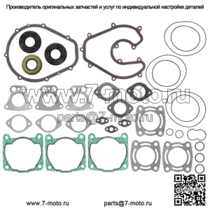 Полный комплект прокладок для Polaris подходит для Genesis 1200 и 2001 Pro 2001-2004 годов выпуска.