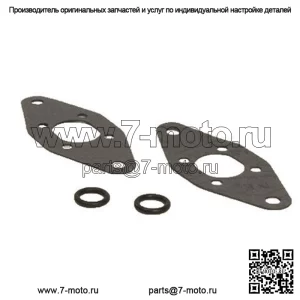 Комплект прокладок силового клапана для Ski-Doo SUMMIT 600 HO 2003-2005 гг.
