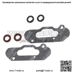 Комплект прокладок силового клапана для Ski-Doo Summit X 800R ETEC 2011-2015 гг.