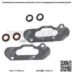 Комплект прокладок силового клапана для Ski-Doo Renegade XRS 800R ETEC 2015