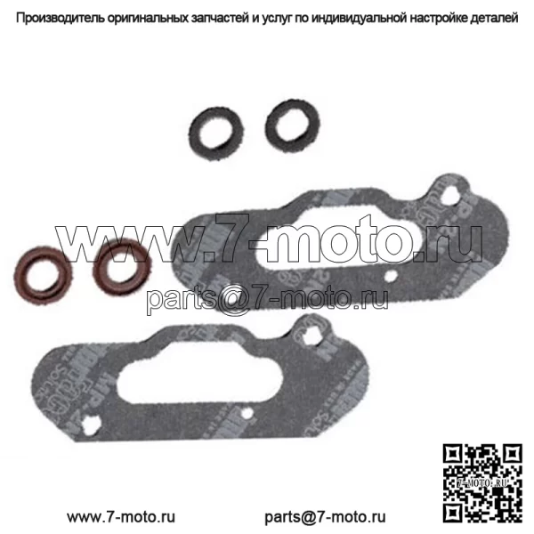 Комплект прокладок силового клапана для Ski-Doo Renegade XRS 800R ETEC 2015