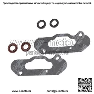Комплект прокладок силового клапана для Ski-Doo Renegade Back Country/X 800R ETEC 2011 г.