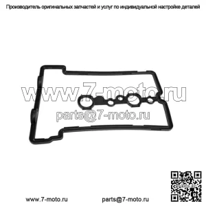 Прокладка крышки клапана следа Polaris Ace General RZR RZR XP RZR 2012-2022 5415011