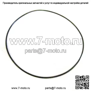 Уплотнительное кольцо внешней головки снегохода OEM 3003-765