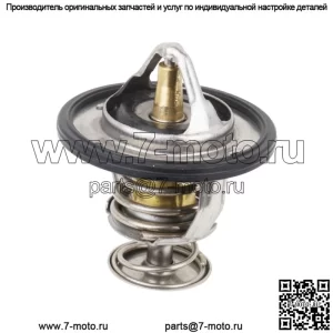 Термостат с уплотнительным кольцом для Polaris RZR 1000 2016-2022/RZR Turbo 2016-2022