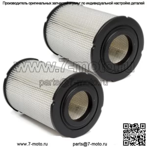 Воздушные фильтры 2PK подходят для гольф-каров Columbia 1971-1995 гг., 2-тактный бензиновый двигатель 291131-71