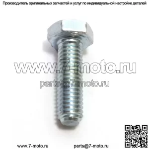 725237071, 725237051. 100% новый оригинальный ВИНТ OEM. 10 Доступно.