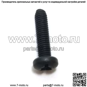 530015893, 5300158-93. 100% новый оригинальный винт OEM. 9 Доступен.