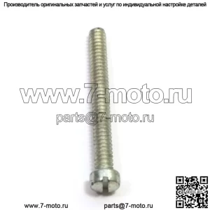530015245 100% оригинальный абсолютно новый винт OEM. 19 Доступен.