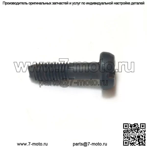 503203419, 5032034-19. 100% новый оригинальный винт OEM. - Image 3