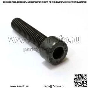 725533255, 7255332-55. 100% новый оригинальный винт OEM.