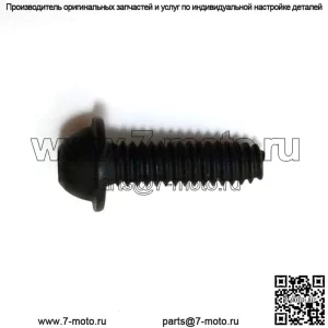 530015771, 5300157-71. 100% новый оригинальный винт OEM.