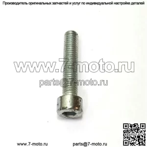 7252333-71, 725233371. 100% новый оригинальный ВИНТ OEM.