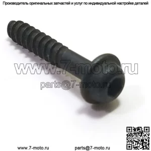 530015940, 5300159-40. 100% новый оригинальный винт OEM. 1 Доступен.