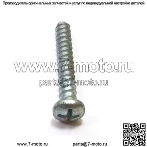 530016020, 5300160-20. 100% новый оригинальный винт OEM.