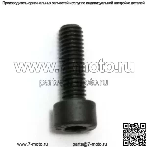 725532955, 7255329-55. 100% новый оригинальный ВИНТ OEM MC67, 5x16.