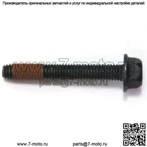 530016037, 5300160-37. 100% новый оригинальный OEM-ВИНТ M5-0 8x3.