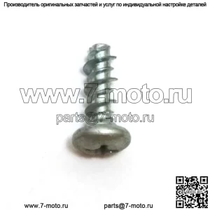 530015496, 5300154-96. 100% новый оригинальный винт OEM.