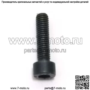 7255331-55, 725533155. 100% новый оригинальный винт OEM/цилиндр цилиндра