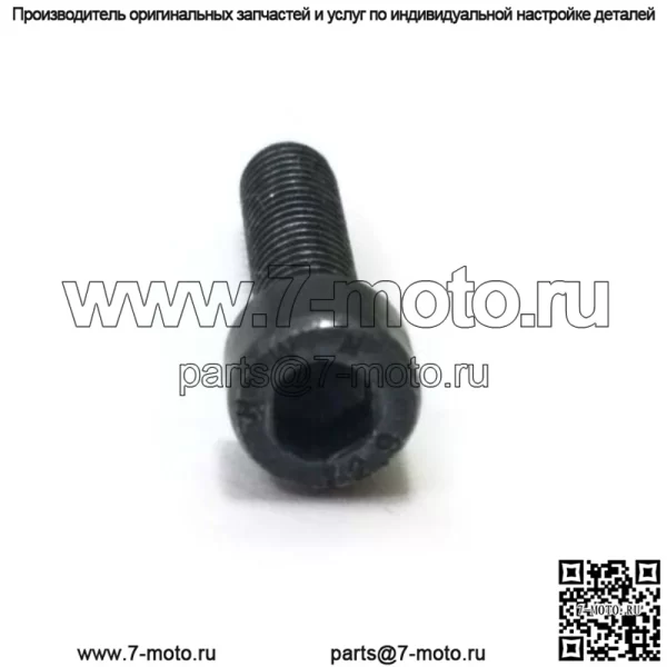 7255331-55, 725533155. 100% новый оригинальный винт OEM/цилиндр цилиндра - Image 2