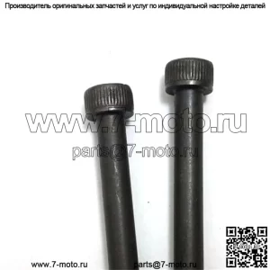 725538755, 7255387-55 100% новые оригинальные винты OEM, 2 шт.