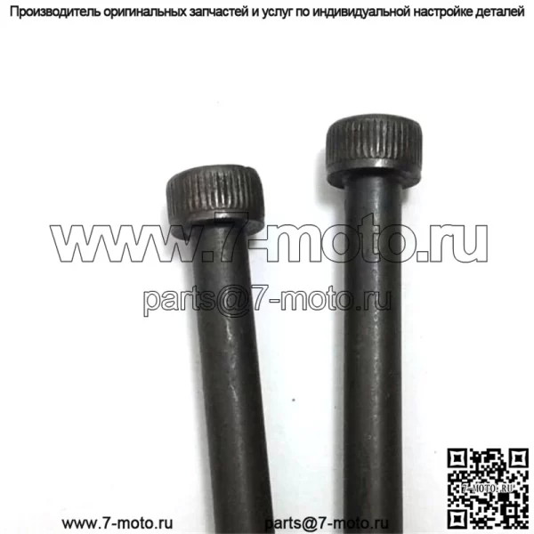 725538755, 7255387-55 100% новые оригинальные винты OEM, 2 шт.