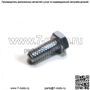596030501 Винт 5/16-3/4 MZ48 MZ54 Z248F Z254F TS246 YTH24V48 TS148X