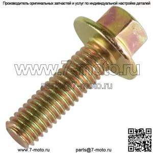 Болт сцепления с фланцевой головкой M6x20 для Polaris RZR S 1000 2021/7518576 3131726 (Для: Polaris)