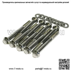Feuling 12-точечный болт для корпуса DressUp Kit SAE Steel Harley Twin Cam B Softail 00-17 (Для: Harley-Davidson)