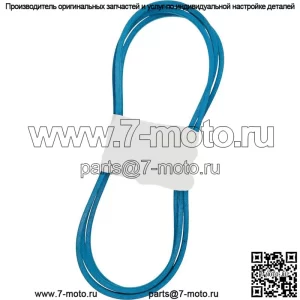 258-199 Ремень