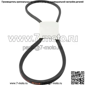 3019-2869 Ремень качественных деталей