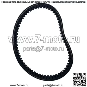 PREMIUM MANCO COMET 203589/5959 Ремень приводной для картинга