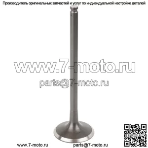 Выпускной клапан для Polaris General 4 1000 Eps 2017 2018 (Для: Polaris)