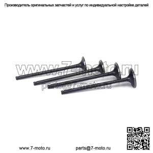 Впускные и выпускные клапаны двигателя мотоцикла для Kawasaki KFX Suzuki WRF