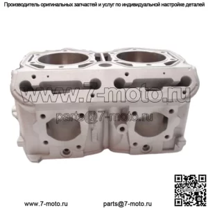 OEM Ski Doo 850 Etec MXZ Freeride Снегоход 6413300 Цилиндр
