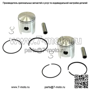 Комплекты из 2 поршней для Polaris TX 340 500, стандартный диаметр 62 мм, 1972, 1973, 1974, 1975, 1976 гг.