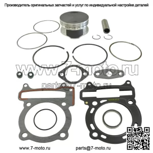 Комплект поршня .020 и прокладок подходит для Kawasaki Brute Force 300 73,2 мм
