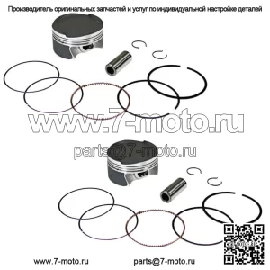 Комплект из 2 поршней для Can-Am 2011-2018 1000, стандартный диаметр 91 мм