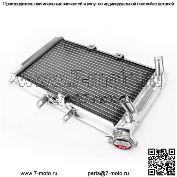 Уличные велосипеды OEM-мотоциклов с алюминиевым излучением для триумфа - Image 2