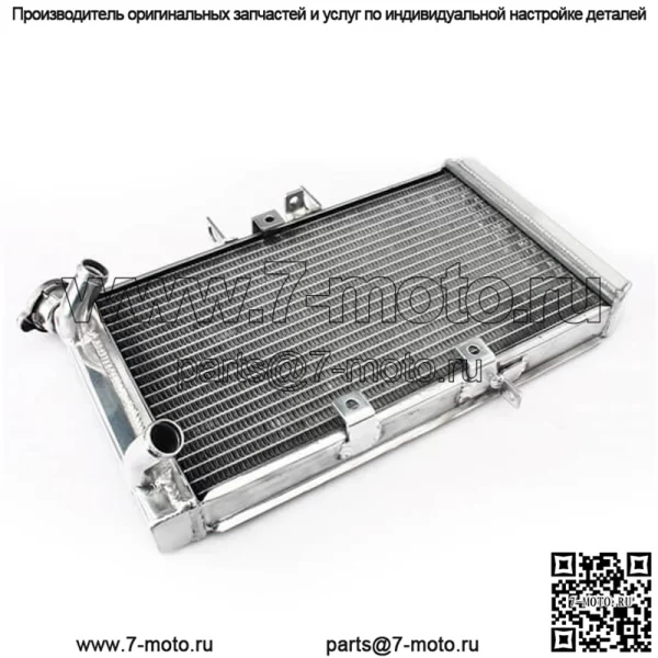 Уличные велосипеды OEM-мотоциклов с алюминиевым излучением для триумфа - Image 3