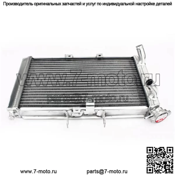 Уличные велосипеды OEM-мотоциклов с алюминиевым излучением для триумфа - Image 5