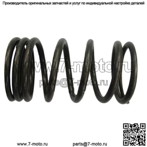 Внешняя пружина для Massey Ferguson 747814M1 / 1209-9216