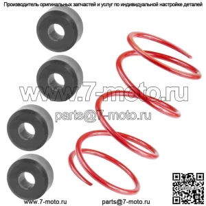 Вторичный ролик сцепления и пружина для Polaris RZR XP 4 1000 2014 2015 (Для: Polaris)