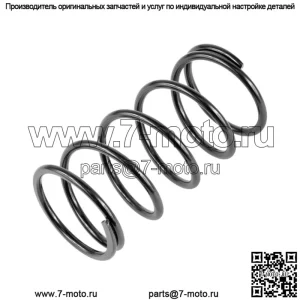 Первичная пружина сцепления подходит для Polaris RZR XP 4 1000 17-21, кроме трактора MD 7044465 (для: Polaris)