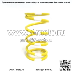OEM-желтая/белая основная пружина сцепления 0646-229